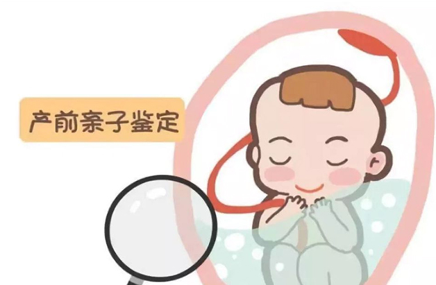 合肥要如何办理孕期亲子鉴定, 合肥要如何办理孕期亲子鉴定,
