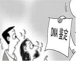 合肥上户口亲子鉴定收费明细,合肥落户口亲子鉴定机构去哪 合肥上户口亲子鉴定收费明细,合肥落户口亲子鉴定机构去哪