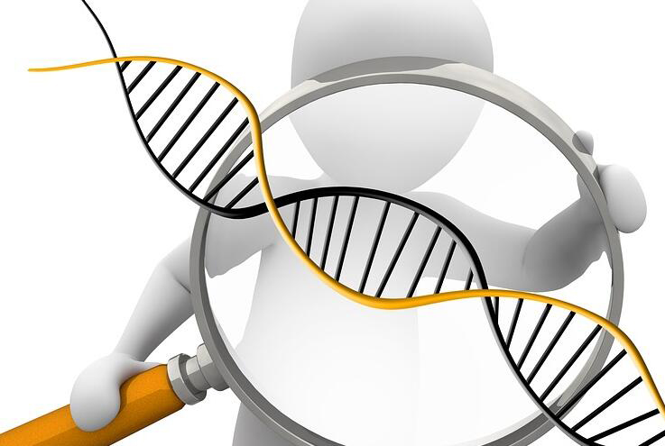 合肥哪有DNA检验鉴定中心,合肥亲子鉴定要多少钱