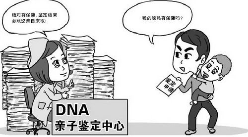 合肥司法亲子鉴定多少钱一次,